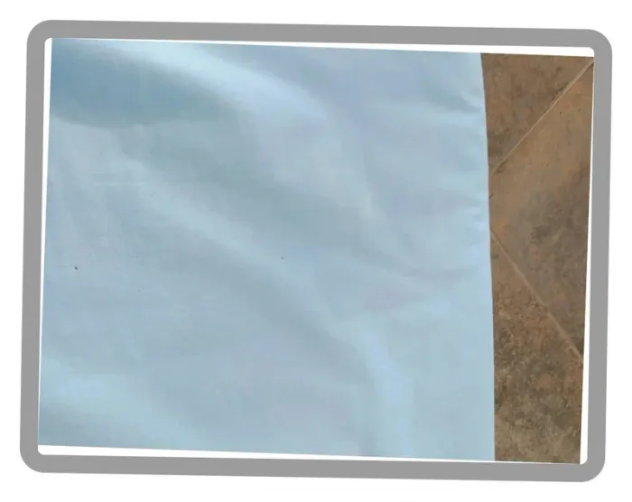 Tapis d'éveil - photo numéro 2