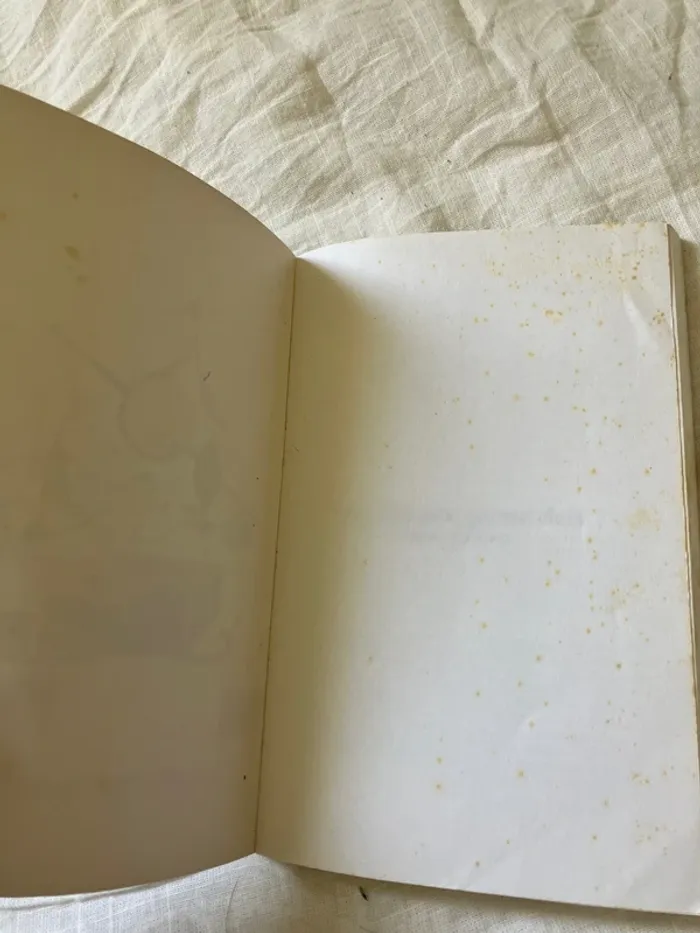 Tache d’encre 5 – La boîte aux quinze clés - photo numéro 6