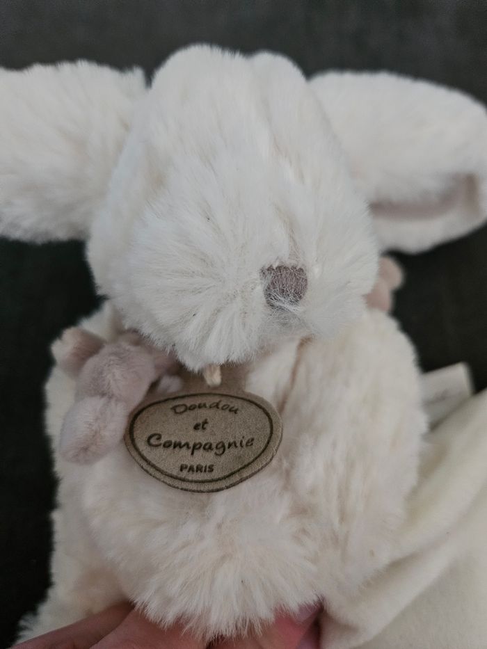 Doudou - photo numéro 5