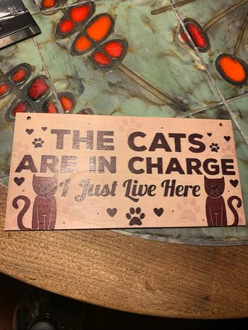 Pancarte chats
