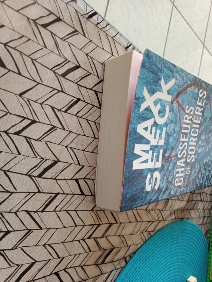 Livre " Chasseurs de sorcières " - photo numéro 5