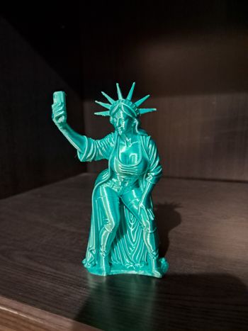 Statue de la Liberté 2026 selfie