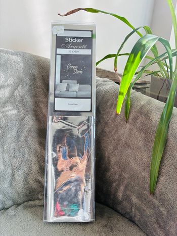 Grand Sticker mural Carpe Diem 