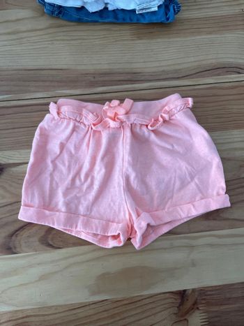 Short corail