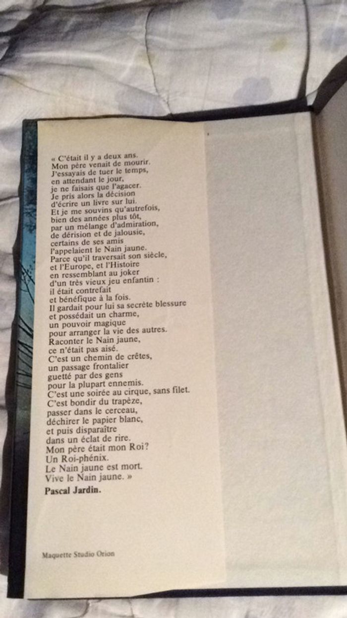 #le nain jaune par Pascal Jardin - photo numéro 4