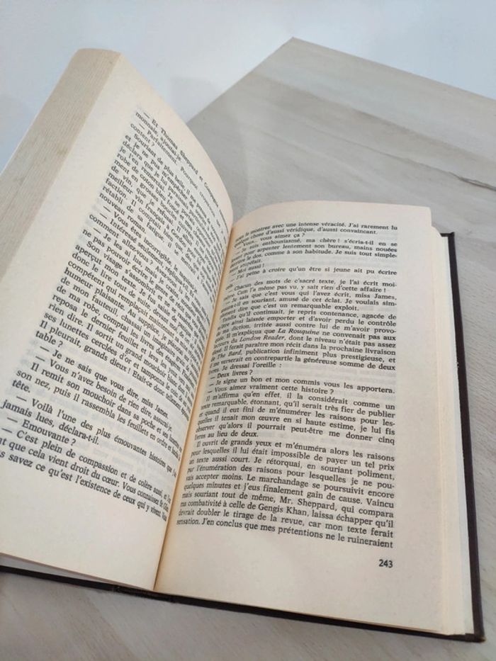 Livre grand format la duchesse rebelle Jennifer Wilde - photo numéro 9