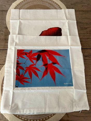 Lot de housse de coussin