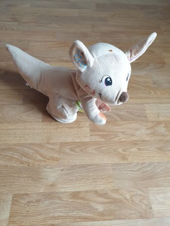 Maman kangourou love