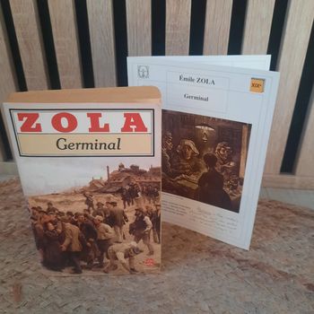 Livre " Germinal" d Émile Zola et sa fiche d étude