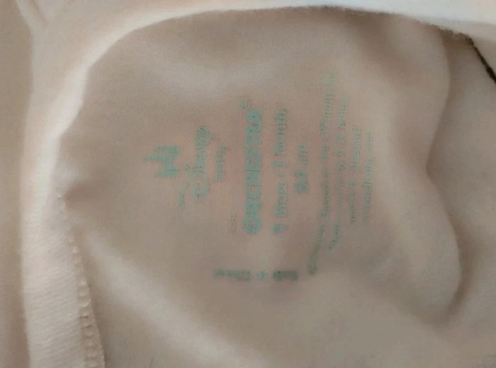 Tee-shirt manches courtes crème Winnie l'ourson et ses amis Disney Orchestra taille 1 mois - photo numéro 3