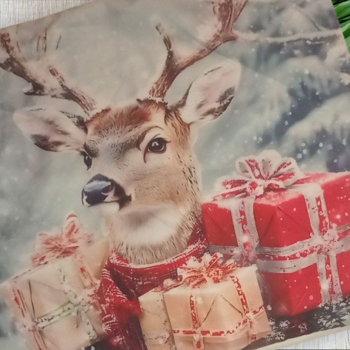 Housse de coussin noel Rennes - photo numéro 2