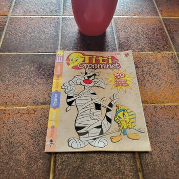 Titi et grosminet novembre 2006