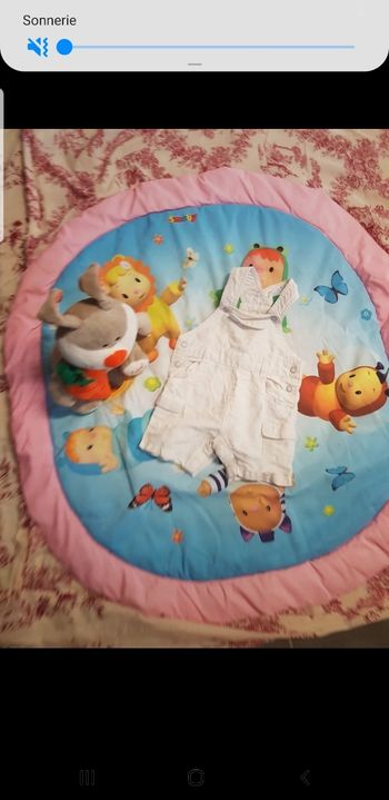 Petite grenouillère