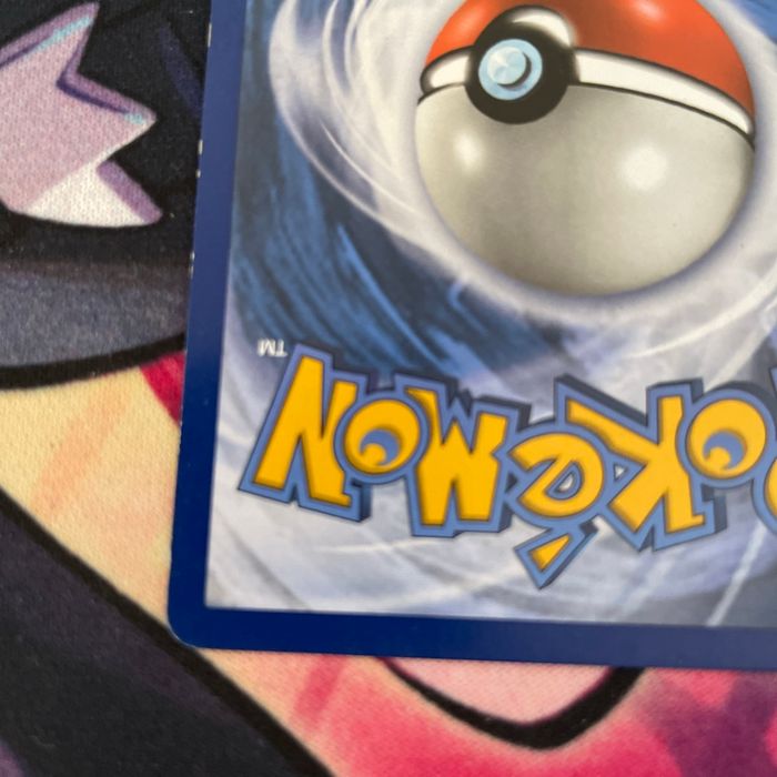 Evoli et ronflex escouade - photo numéro 7