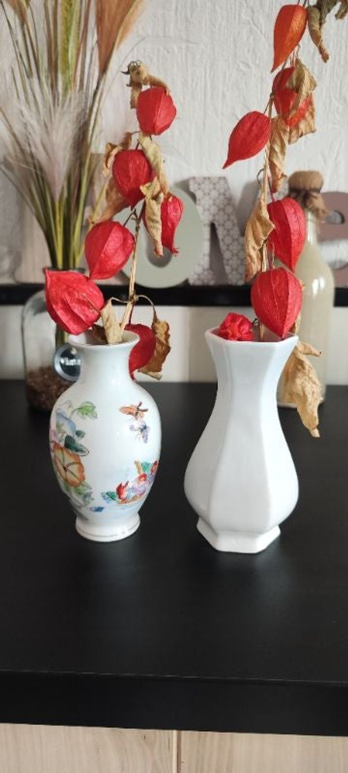 Lot de 2 vases porcelaine de chine