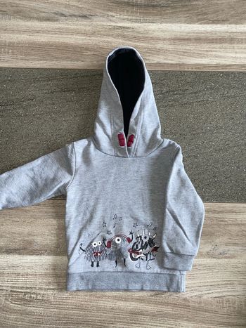 Sweat-shirt capuche 12-18 mois