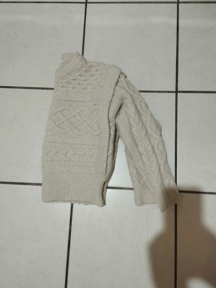 Pull courts - photo numéro 2