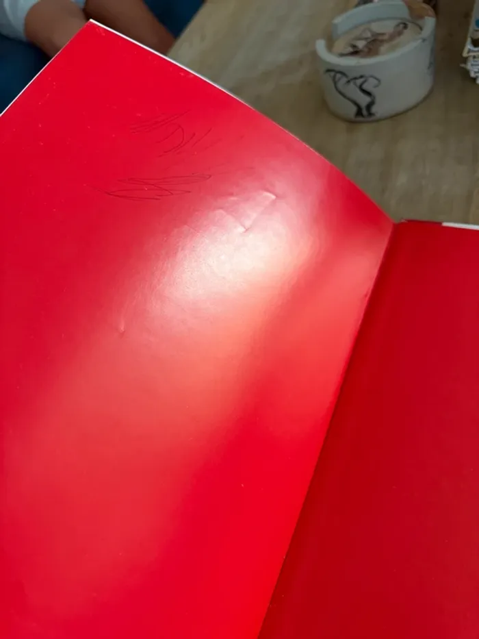 Édition limitée reliure rouge collector - BE Grand livre Caroline et Boum Ermite Pierre Probst - photo numéro 10