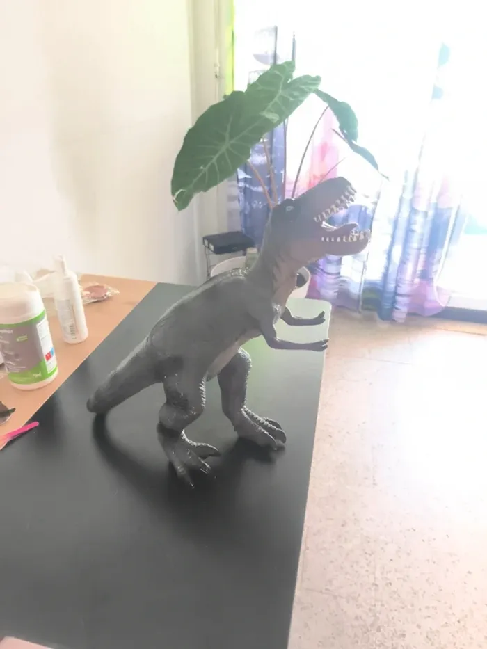 Tirex 45 cm - photo numéro 4