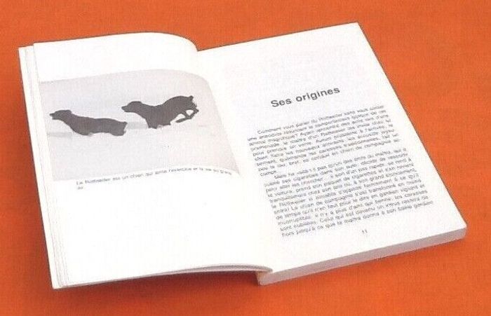 Martin Eylat Vous et votre Rottweiller - photo numéro 3