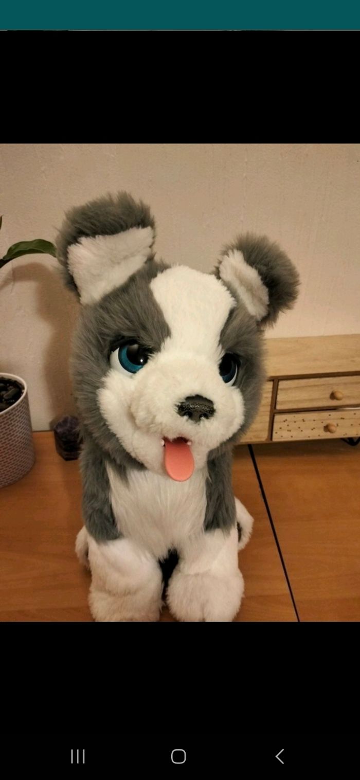 Peluche interactive furreall (ours 25 euros  kangourou 15 euros chien 20 euros ) - photo numéro 5