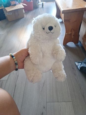Ours blanc peluche
