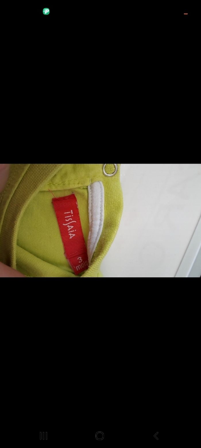 Tee-shirt vert renard - photo numéro 3