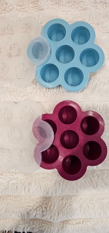 Lot de 2 fleurs 🌸 multiportions Béaba 60ml