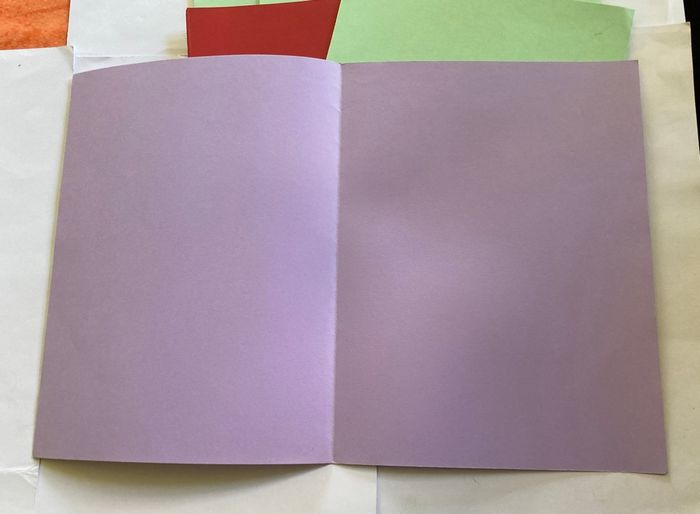 Lot 6 chemises cartonnées