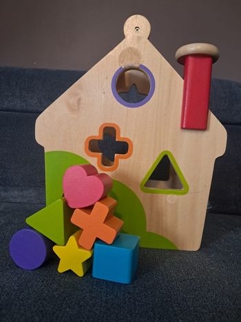 Maison des forme en bois janod