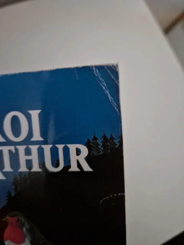Le roi Arthur - photo numéro 3