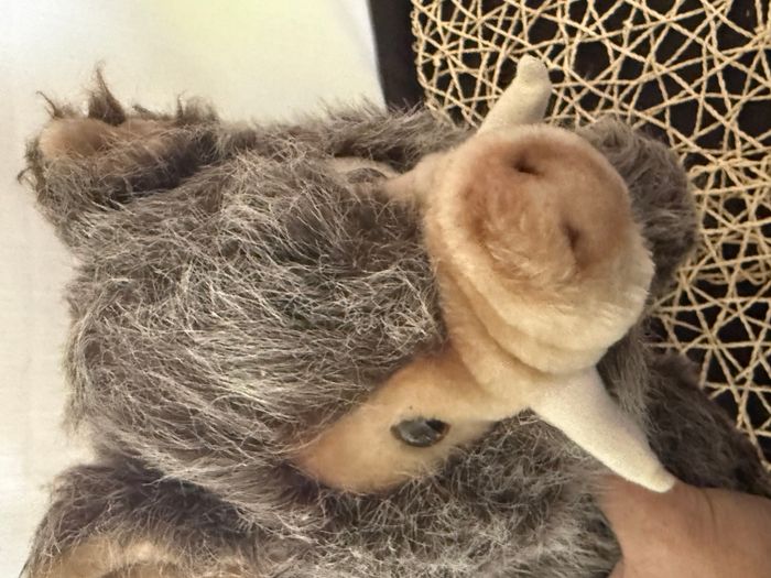 peluche sanglier - photo numéro 7