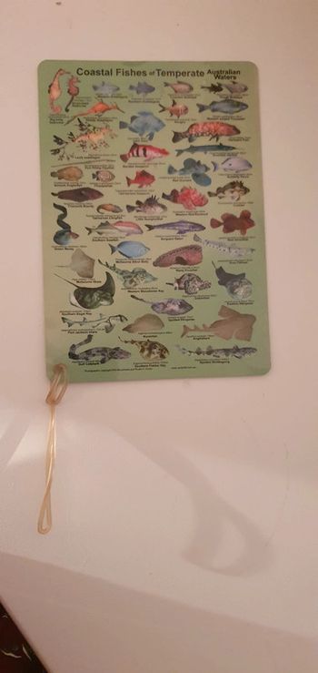 Carte Marine Plongée Australie
