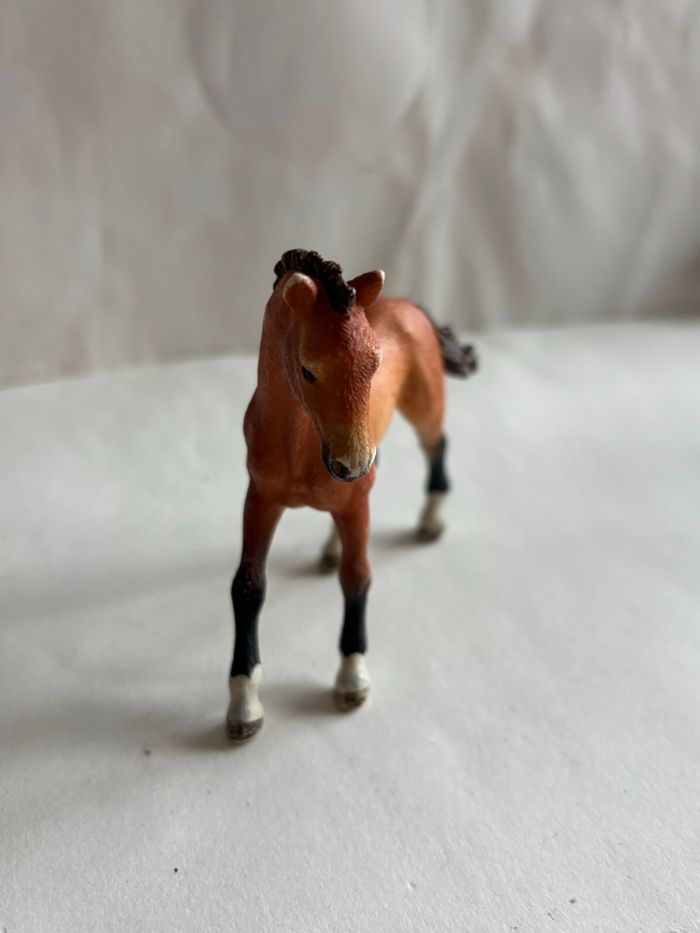 Poulain Schleich - photo numéro 4