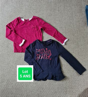 Lot de 2 t-shirts manches longues fille - 5 ans