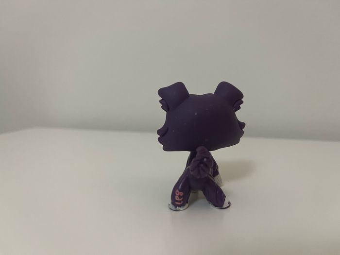 petshop - photo numéro 4