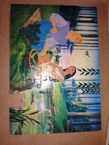 Puzzles Pocahontas Disney 60 pcs TBE
+ Poster
Déjeuner amoureux
