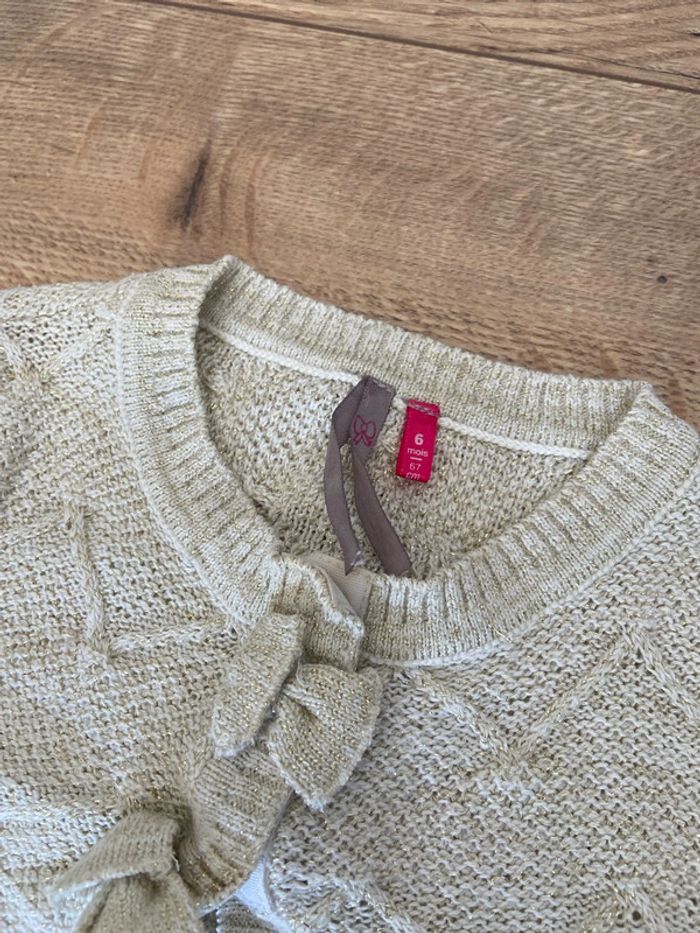 Gilet doré - photo numéro 2