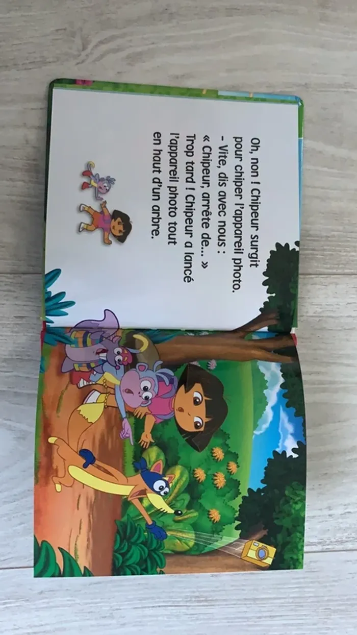 Dora l’exploratrice Dora va au parc - photo numéro 2