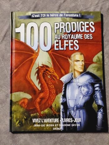 100 Prodiges Au Royaume Des Elfes Par Jean-Luc Bizien, Sandrine Gestin (Illustrations)