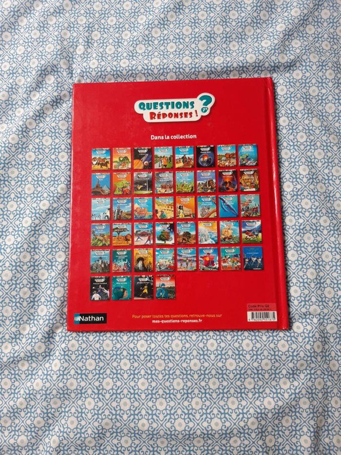 Livre enfants questions réponses au temps des dinosaures - photo numéro 2