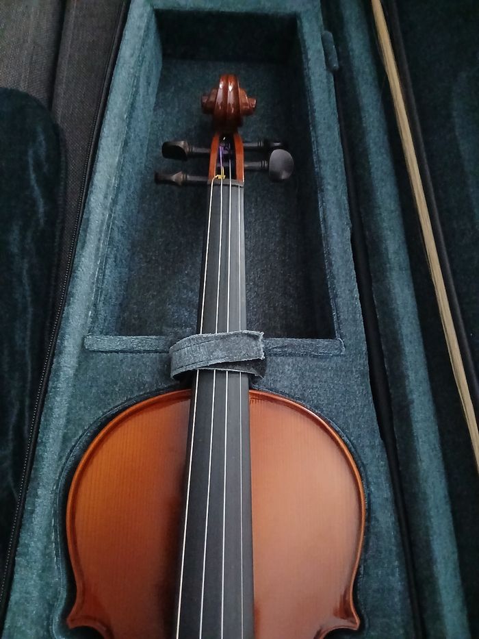 violon prima P200 4/4 - photo numéro 3