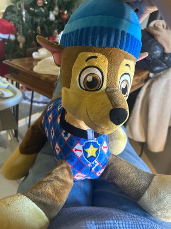 Grand pat patrouille