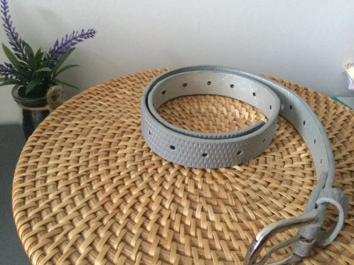 Ceinture grise - photo numéro 2