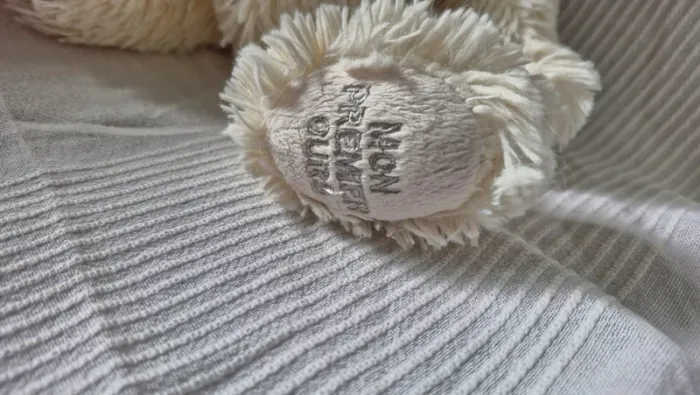 Ourson crème bukowski - photo numéro 3