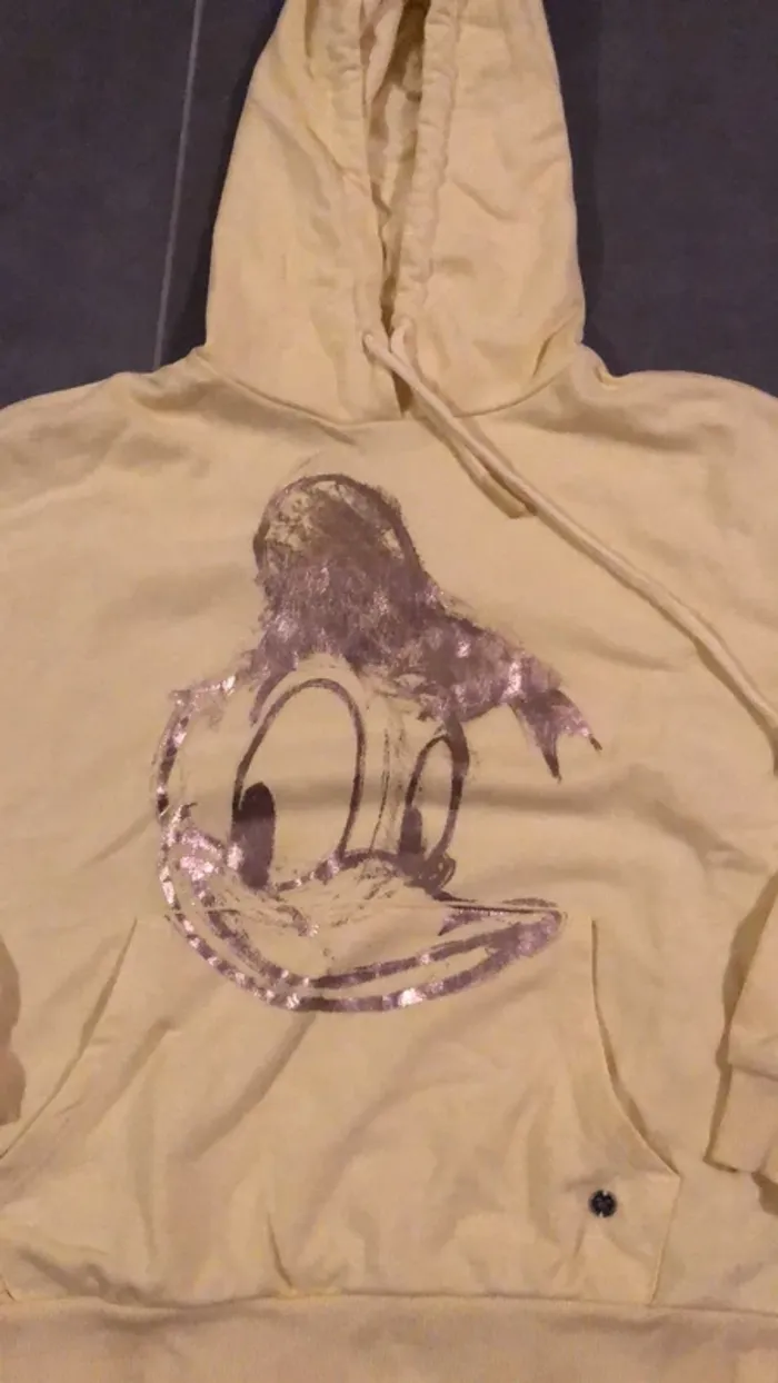 Sweat à capuche - photo numéro 2