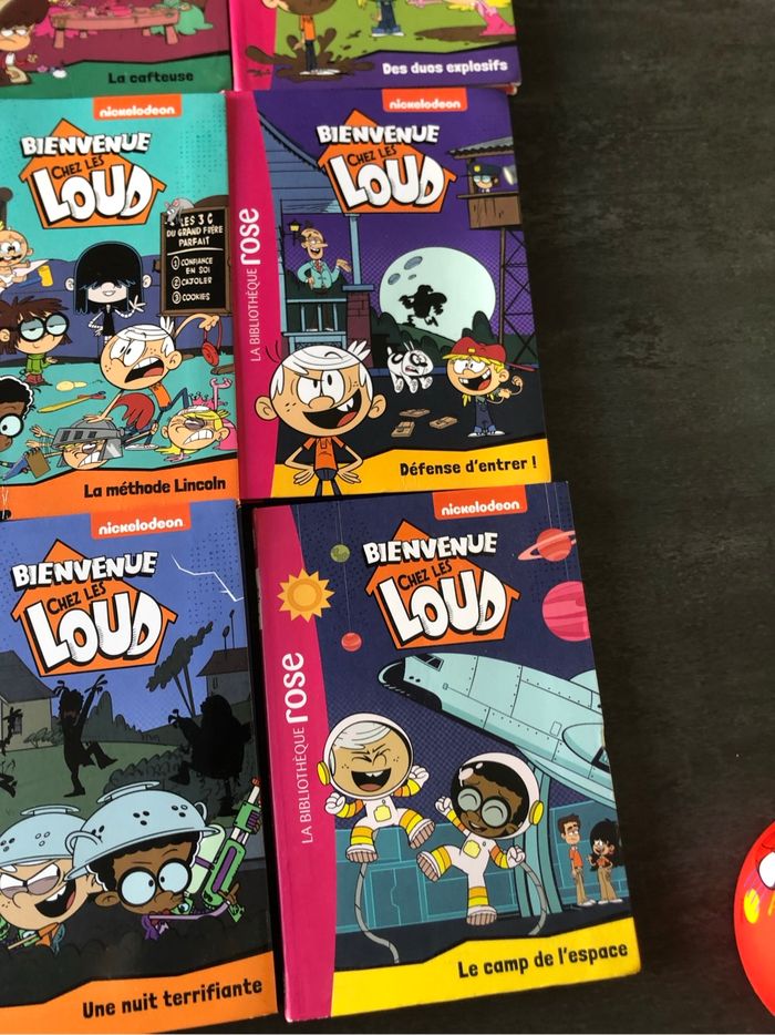 Livre bienvenue chez les loud - photo numéro 9