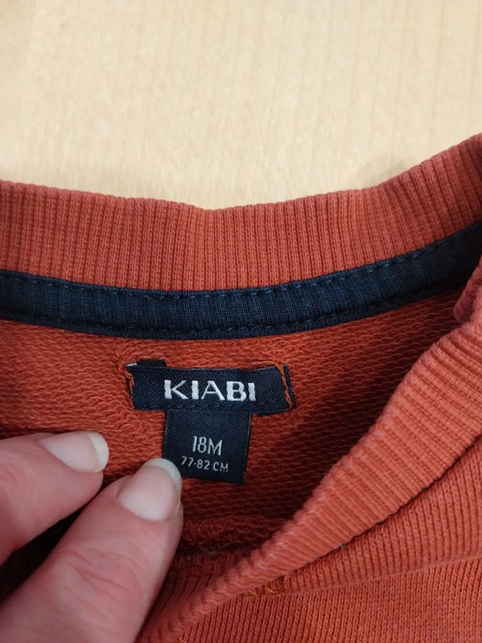 Pull sweat bébé 18 mois - photo numéro 2