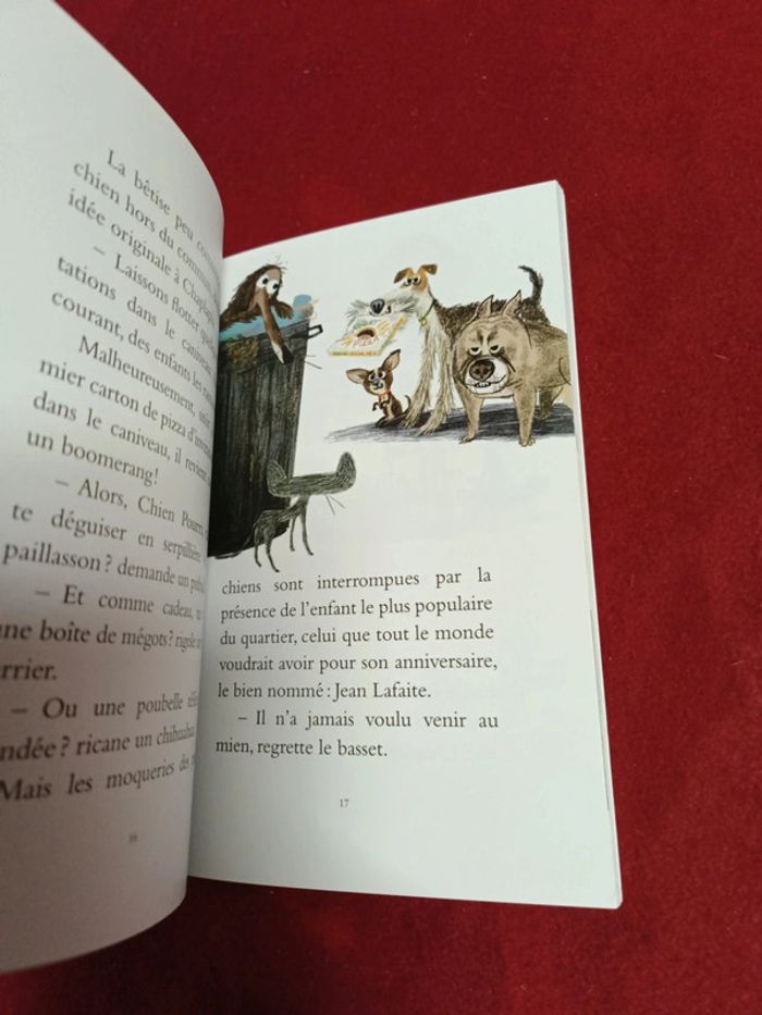 Joyeux anniversaire chien pourri " Mouche " école des loisirs - photo numéro 9