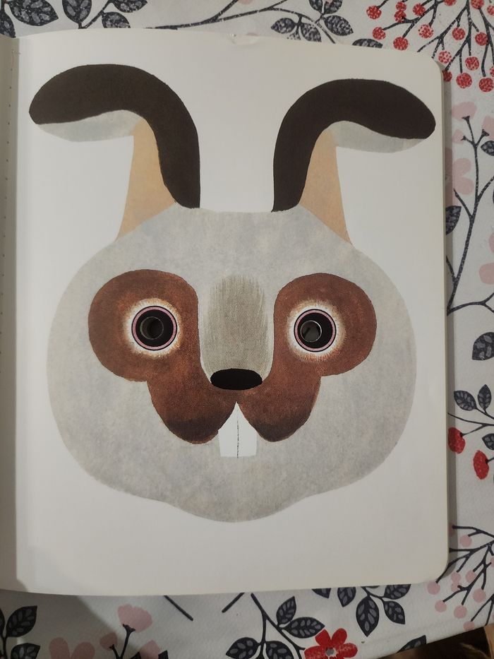 Livre Choisis ton masque - photo numéro 2